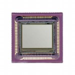 NOII5SC1300A-QDC参考图片