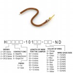 H2AXG-10108-N6参考图片